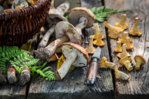 Fresh Wild Mushrooms | Matsimela Home Spa