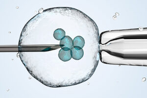 Stem Cells