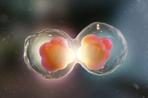 Regenerative Cell Therapy