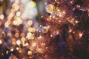 Christmas - The Festive Season Is Upon Us