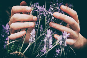 The beauty and danger of plants