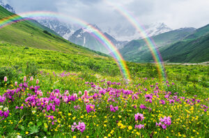 Rainbow.